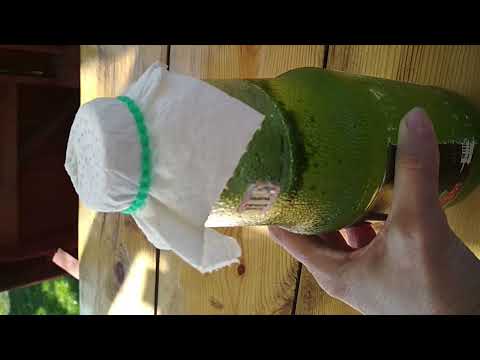 Видео: Из Чего и КАК Выращиваю Хлореллу Дома. Все ПРОСТО, Но Есть Нюансы. Не Пропустите Их и Все Получится