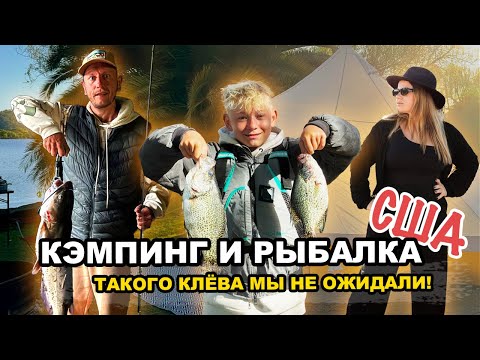 Видео: Кемпинг и рыбалка в Калифорнии — как мы провели неделю на озере Clear Lake