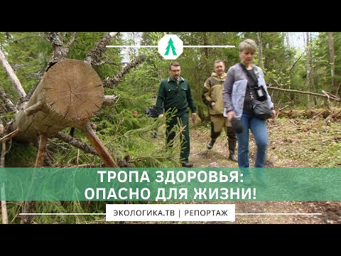 Видео: ТРОПА ЗДОРОВЬЯ: ОПАСНО ДЛЯ ЖИЗНИ!