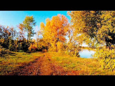 Видео: Осенние покатушки