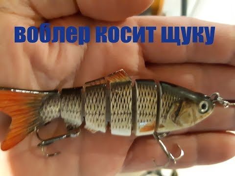 Видео: Щука сходит с ума от воблера. Воблер  Piscifun косит щуку.