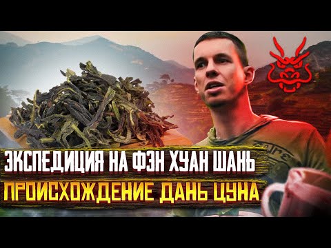 Видео: ЭКСПЕДИЦИЯ НА ФЭН ХУАН ШАНЬ // ФЭН ХУАН ДАНЬ ЦУН // Происхождение Дань Цуна и его сортов