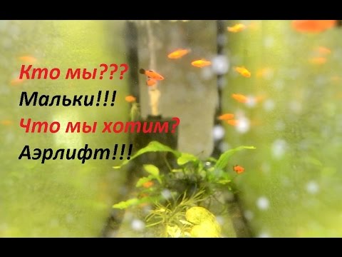 Видео: Аэрлифтные фильтры. Принцип работы.