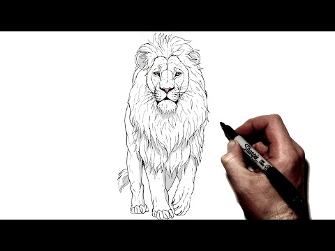 Видео: Как нарисовать идущего льва | Шаг за шагом |