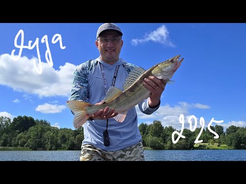 Видео: Первые судаки на Active Target 2,  счёт открыт .