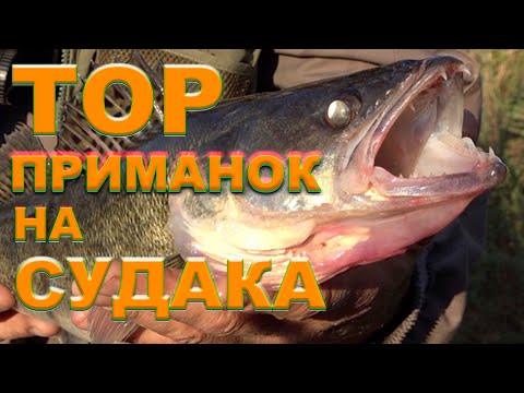Видео: ТОП  уловистых приманок на судака. Кращі приманки для судака 2021. Рибалка на судака.