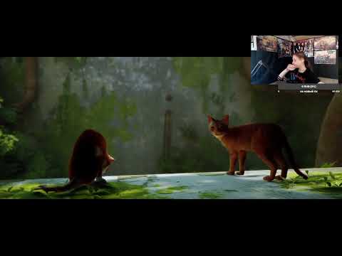 Видео: Начинаем проходить Stray #1. Запись стрима