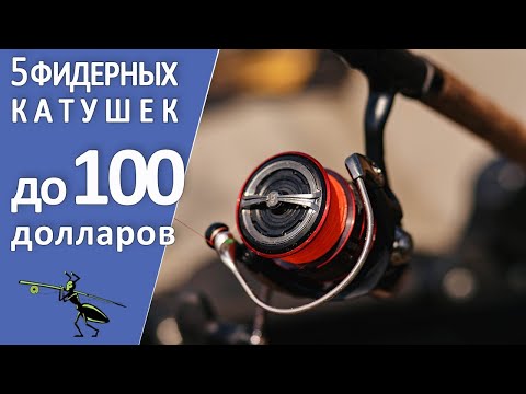 Видео: Топ-5 фидерных катушек до 100 долларов США