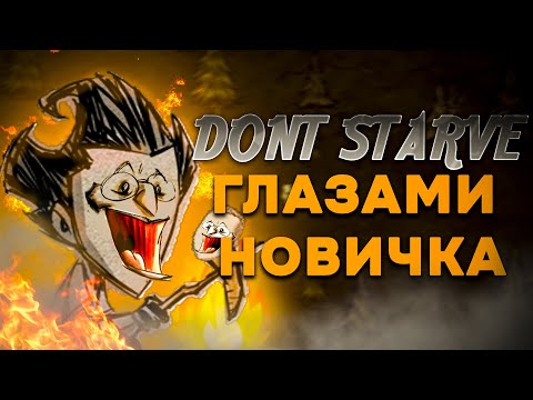 Видео: Don't Starve ГЛАЗАМИ НОВИЧКА