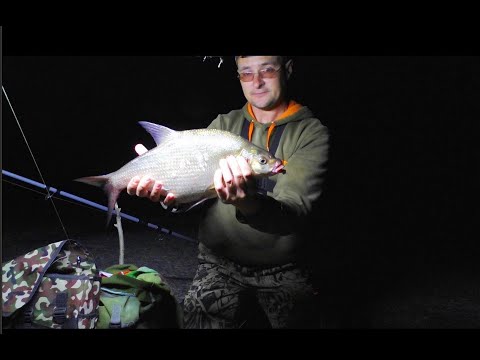 Видео: НАРЕШТІ- БРОНЗОВІ ЛЯЩІ на водосховищі. Фідерна риболовля. Рибалка з ночівлею.