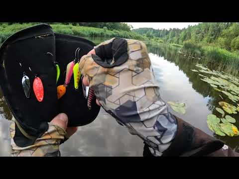 Видео: Ловля голавля