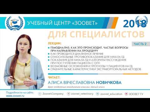 Видео: Новичкова А. В. в УЦ «Зоовет» | ч.2