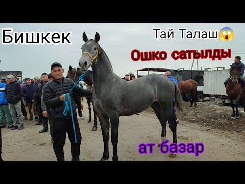 Видео: 5-ОКТЯБРЬ МЫНДАЙ СООДА БИРИНЧИ ЖОЛУ БОЛДУ БИШКЕК ЖЫЛКЫ БАЗАР 