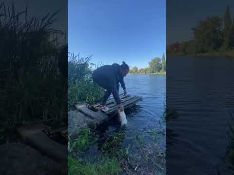 Видео: Хороша рибка попалась, нехай ще підросте трішки😂