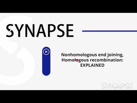 Видео: USMLE Step 1 - Репарация ДНК