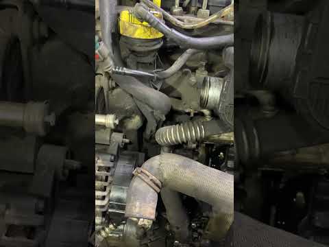 Видео: Стук двигателя Vivaro