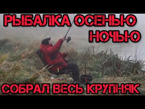 Видео: РЫБАЛКА ОСЕНЬЮ НАЛОВИЛ БОЛЬШЕ ЧЕМ ЛЕТОМ СОБРАЛ ВЕСЬ КРУПНЯК