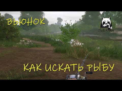 Видео: Русская рыбалка 4. Вьюнок. Спиннинг. Как искать рыбу?