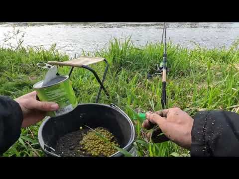 Видео: В ДИКОЙ ГЛУШИ НЕМАНА // МЕСТО ДЛЯ ДУШИ. ФИДЕР 2025.