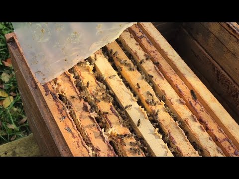 Видео: До зимівлі готові Контрольний пролив 