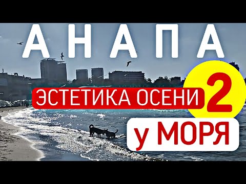 Видео: 🟡 #АНАПА 🌿🌳🟡 ЭСТЕТИКА ОСЕНИ У МОРЯ 2️⃣ 🟡