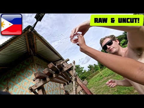 Видео: Установка РОЖДЕСТВЕНСКИХ ОГНЕЙ на ФИЛИППИНСКИЙ KUBO!