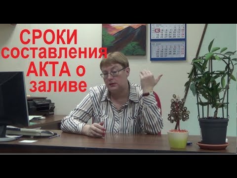 Видео: Сроки составления Акта о заливе. Выпуск №4 Спроси у эксперта.