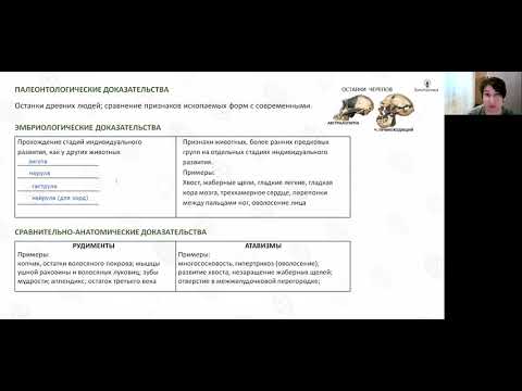 Видео: Лекция 37  Антропогенез