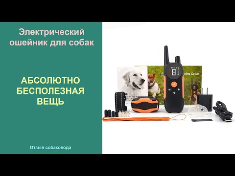 Видео: Электрический ошейник для собак вам не нужен! Почему я не рекомендую покупать электронный ошейник