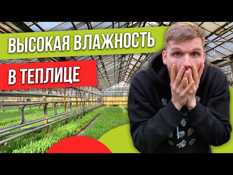 Видео: Как сделать вентиляцию в теплице? #теплица #вентиляция #веревкинхутор