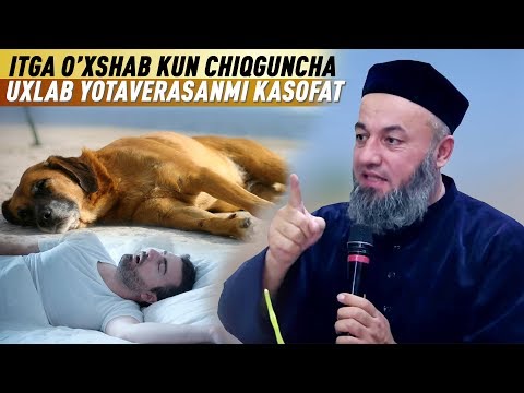 Видео: SOLIHON DOMLA || ИТГА ЎХШАБ УХЛАБ ЁТАВЕРАСАНМИ КАСОПАТ (СОЛИҲОН ДОМЛА)
