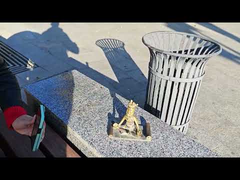 Видео: Симферополь. 02.11.2025.