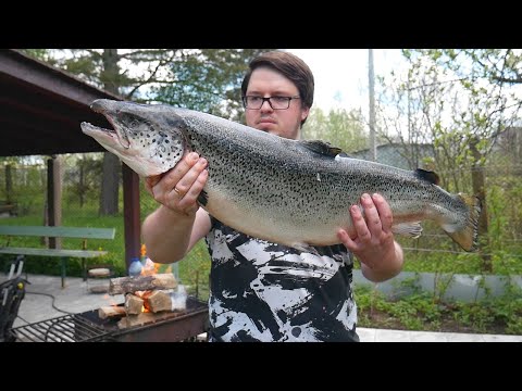 Видео: ШАШЛЫК из РЫБЫ. РЫБА СЁМГА в ТАНДЫРЕ. УХА по-Фински. ENG SUB.