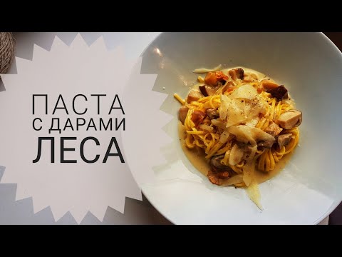 Видео: Паста с дарами леса 🍄🍄🍄