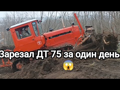 Видео: Зарезал новый ДТ 75 😭 за один день