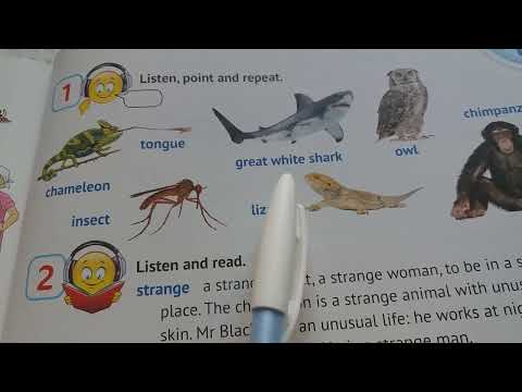 Видео: Англійська. С.101, в.1,2. 4 клас. Підручник Карпюк.