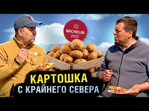 Видео: Фермер Ямала бросает вызов природе: Урожай там, где его не ждали!