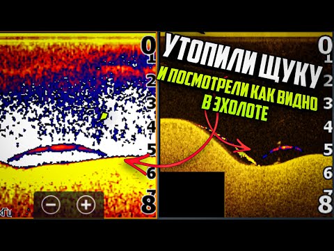 Видео: !!! НАКОНЕЦ ТО !!! Вся ПРАВДА о ЩУКЕ, Поймали, ПРИВЯЗАЛИ и УТОПИЛИ что бы ПОНЯТЬ как она ВЫГЛЯДИТ