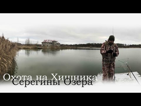Видео: За Щукой на Платник! Серегины Озера это отличное место для тех кто хочет поймать рыбу!