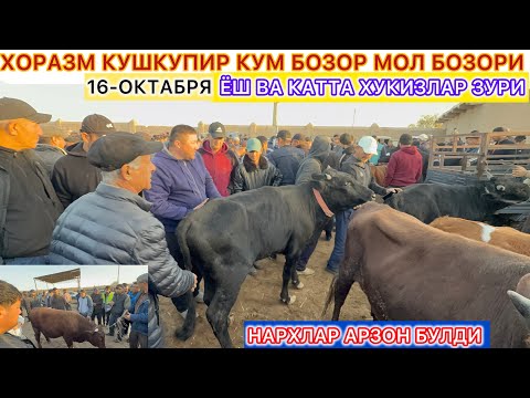Видео: ХОРАЗМ КУШКУПИР КУМ БОЗОР МОЛ БОЗОРИ НАРХЛАР АРЗОН БУЛДИ 16-октябрь 2025 г.