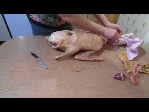 Видео: Как потрошить тушку гуся##########