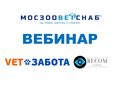 Видео: Буллёзная кератопатия