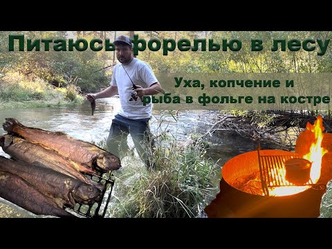 Видео: Живу в лесу и питаюсь форелью. Уха, копчение, в фольге. Дальнобойщик на природе.