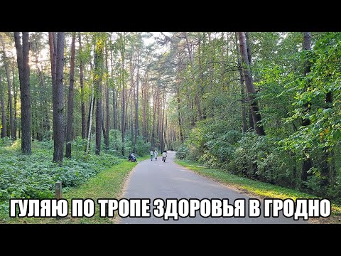 Видео: Гуляю по Тропе Здоровья в Гродно