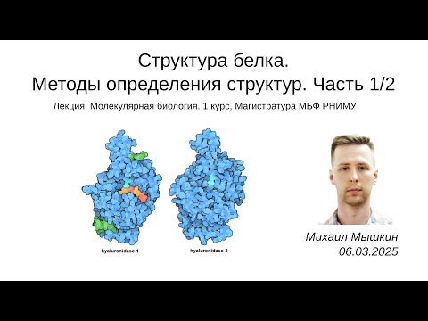 Видео: Структура белка. Методы определения структур (1/2) | РНИМУ МБФ МолБиол | Михаил Мышкин