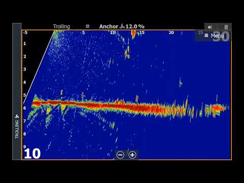 Видео: ПЕЛАГИЧЕСКИЙ СУДАК  интересно наблюдать и не легко поймать ActiveTarget 2.Lowrance. Nistru Moldova.