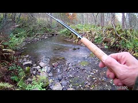 Видео: Тенкара. Хариус в верховьях