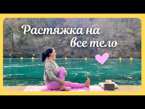 Видео: ЙОГА на ВСЕ тело за 15 минут для отличного настроения ☀️ Практикуй каждый день 🌊