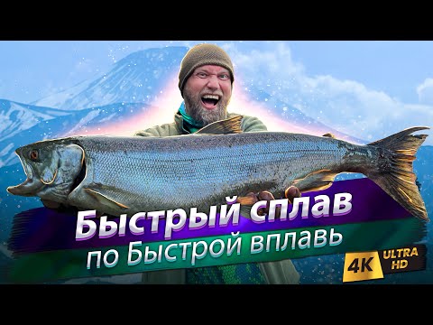 Видео: 🇷🇺 Сплав и рыбалка на Камчатке по реке Быстрая