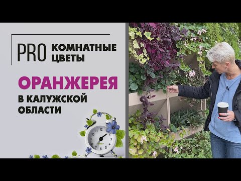 Видео: Оранжерея в Калужской области | Большой обзор комнатных растений